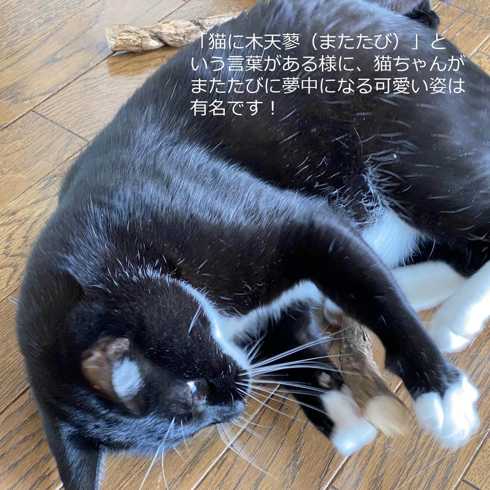 Amazon | またたび粉 30g 100% 純粉末 虫癭果 日本製 国産 猫用 おやつ